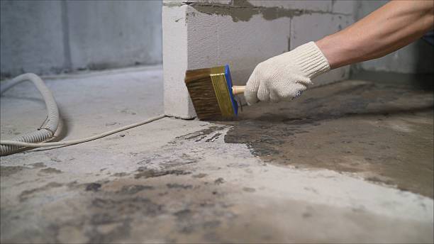 SJ Waterproofing Pros Basement Waterproofing coverage map for Buhl, AL and surrounding area